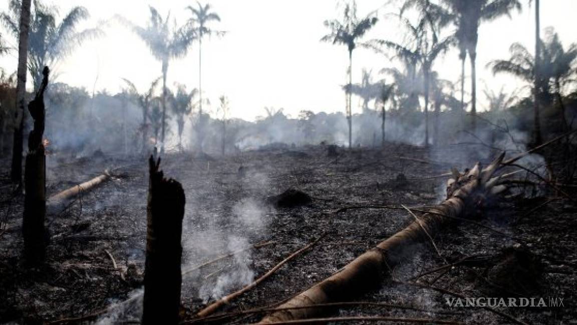 Triste pero falso; no llueve en el Amazonas, incendio continúa