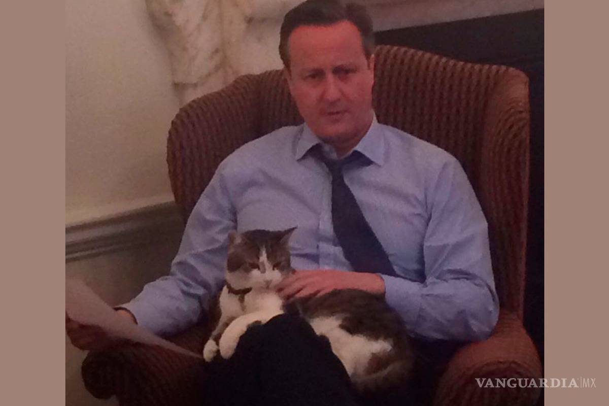 David Cameron se despide del gato Larry