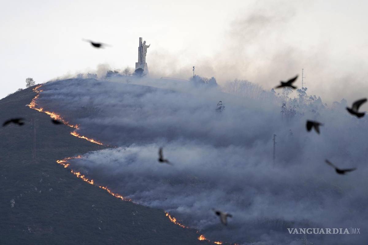 ‘Terroristas’ iniciaron los más de 100 incendios forestales que consumen Asturias: funcionarios
