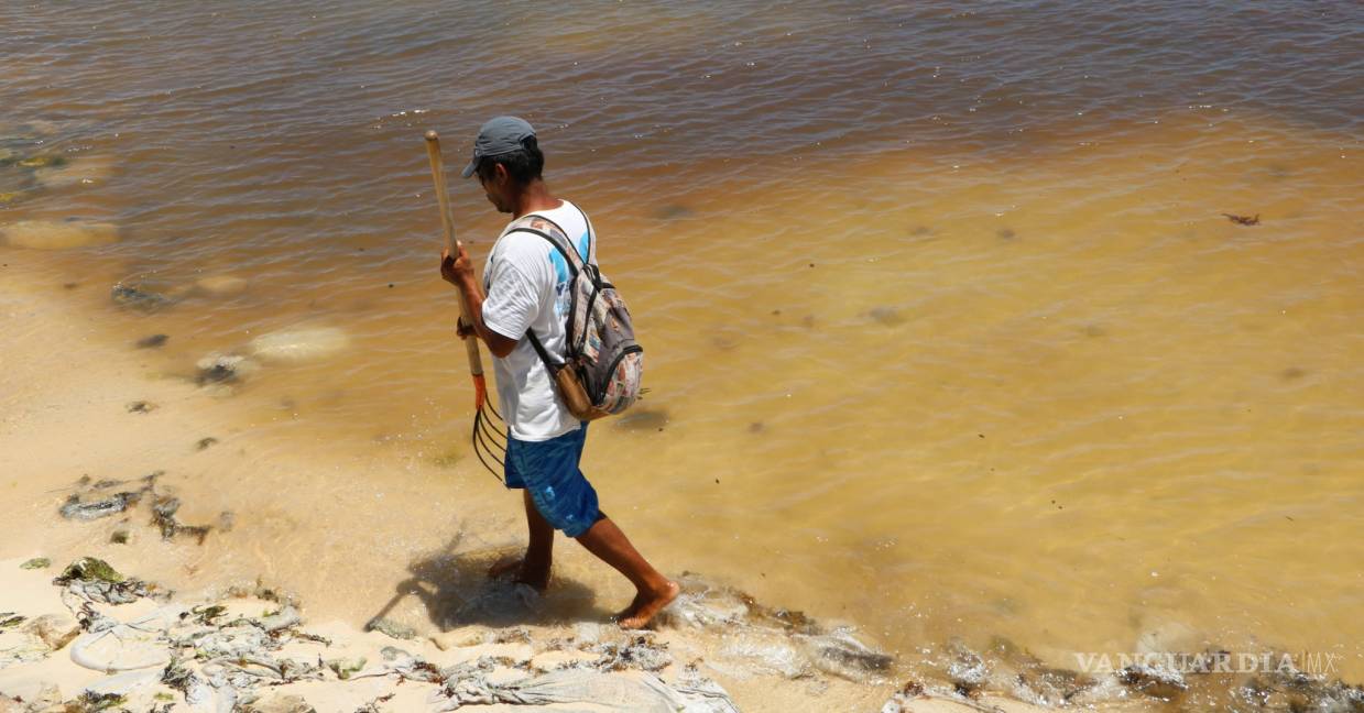 $!Agencias de viajes y gobierno de Quintana Roo engañan a turistas minimizando crisis de sargazo