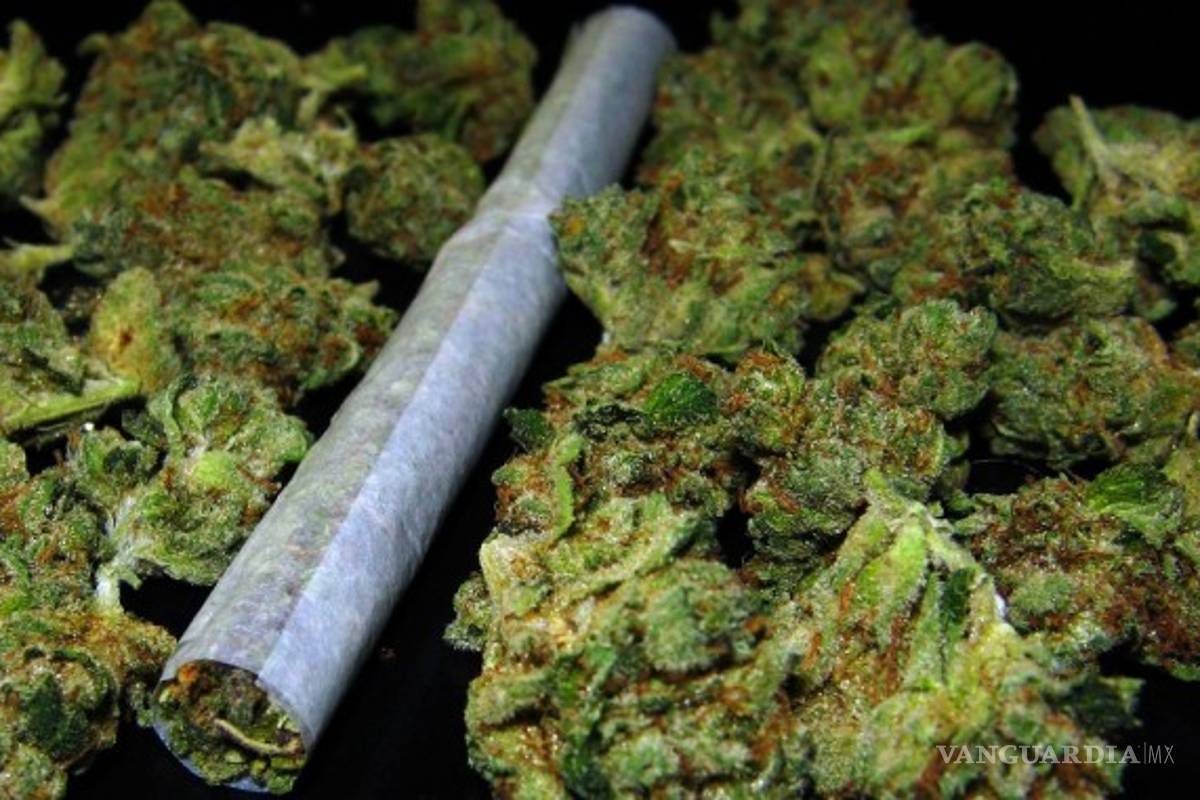 Las ONG extranjeras apoyan legalización de la mariguana