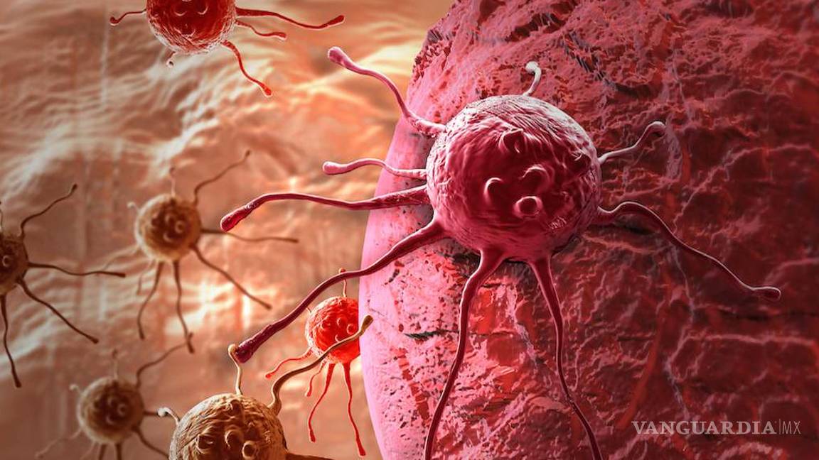 $!Académicos de la UNAM crean medicamentos para tratar el cáncer y alzheimer