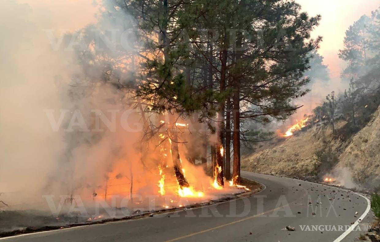 $!Fuego no cede: Así se vive desde adentro el incendio en la Sierra de Artega