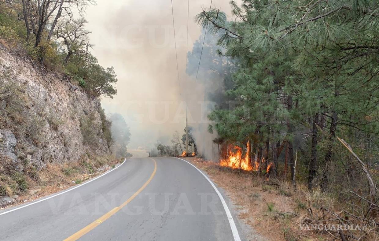 $!Fuego no cede: Así se vive desde adentro el incendio en la Sierra de Artega