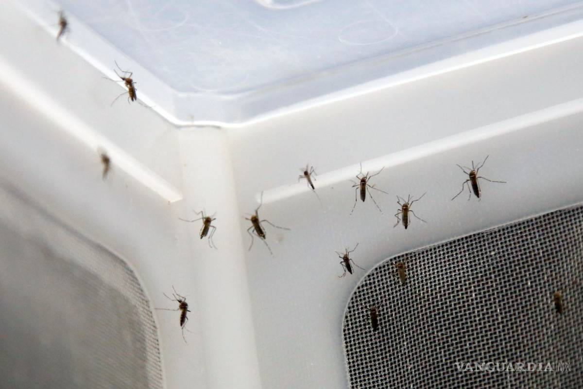 México suma 272 casos confirmados de Zika: Salud