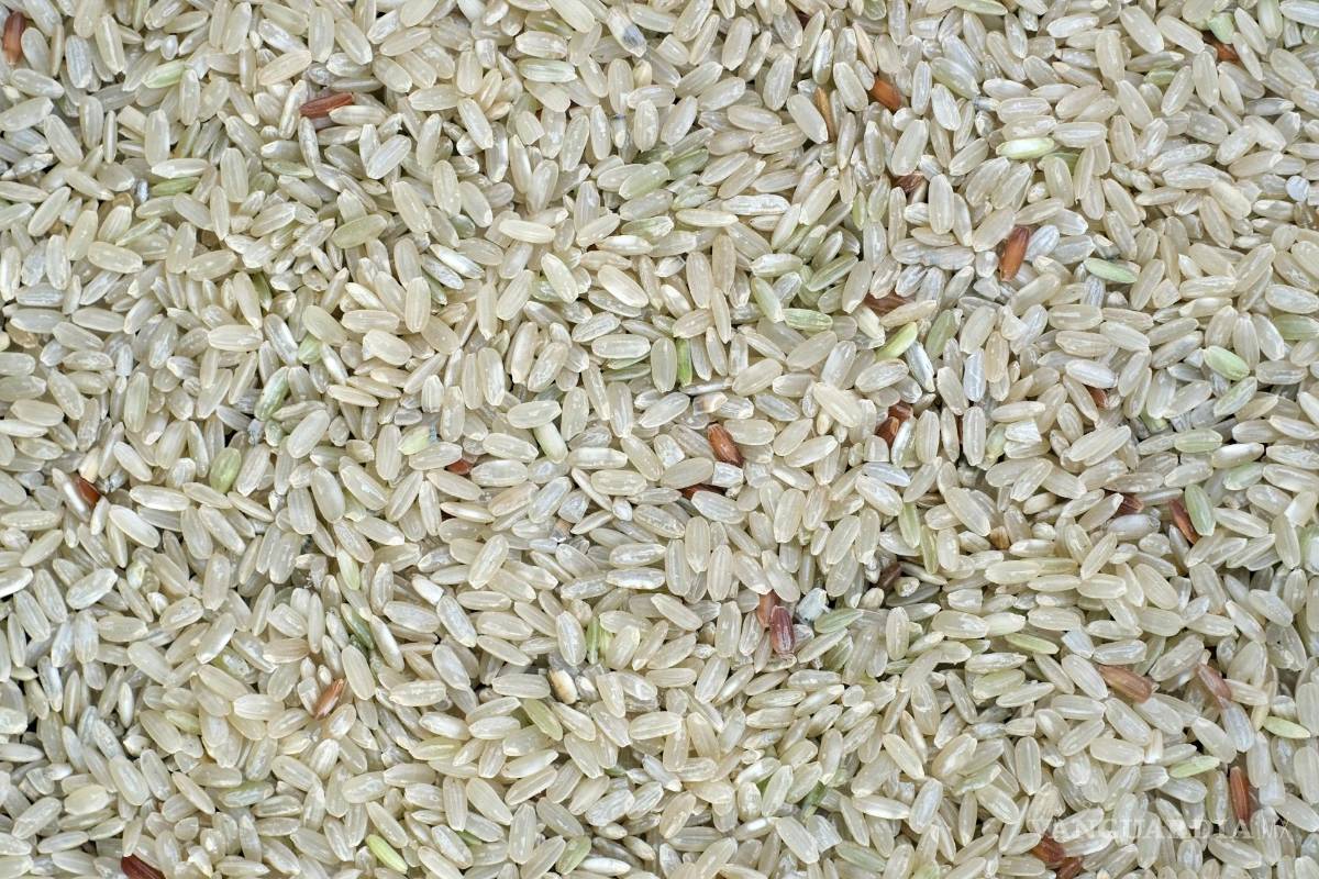 $!Este arroz es 100% puro y no contiene microplásticos, según Profeco