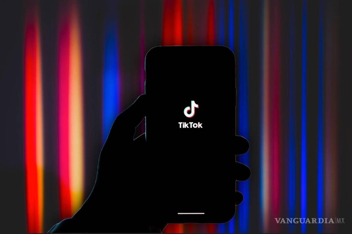 En TikTok se ven más de 160 millones de videos por minuto; en Netflix más de 450 mil horas