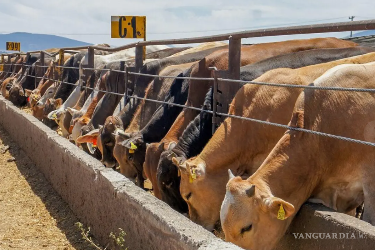 No se requiere decretar la prohibición del paso de ganado del sur a Coahuila: UGRC