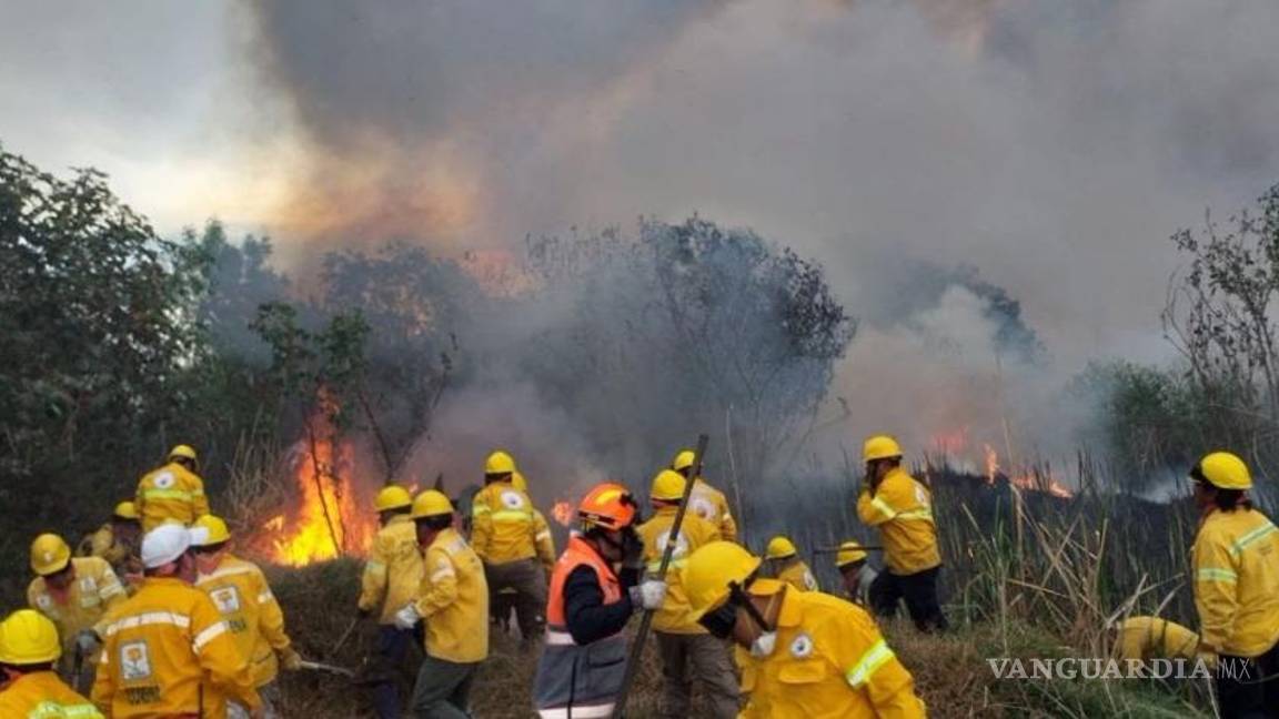 $!Conafor tendrá 50% menos presupuesto contra incendios