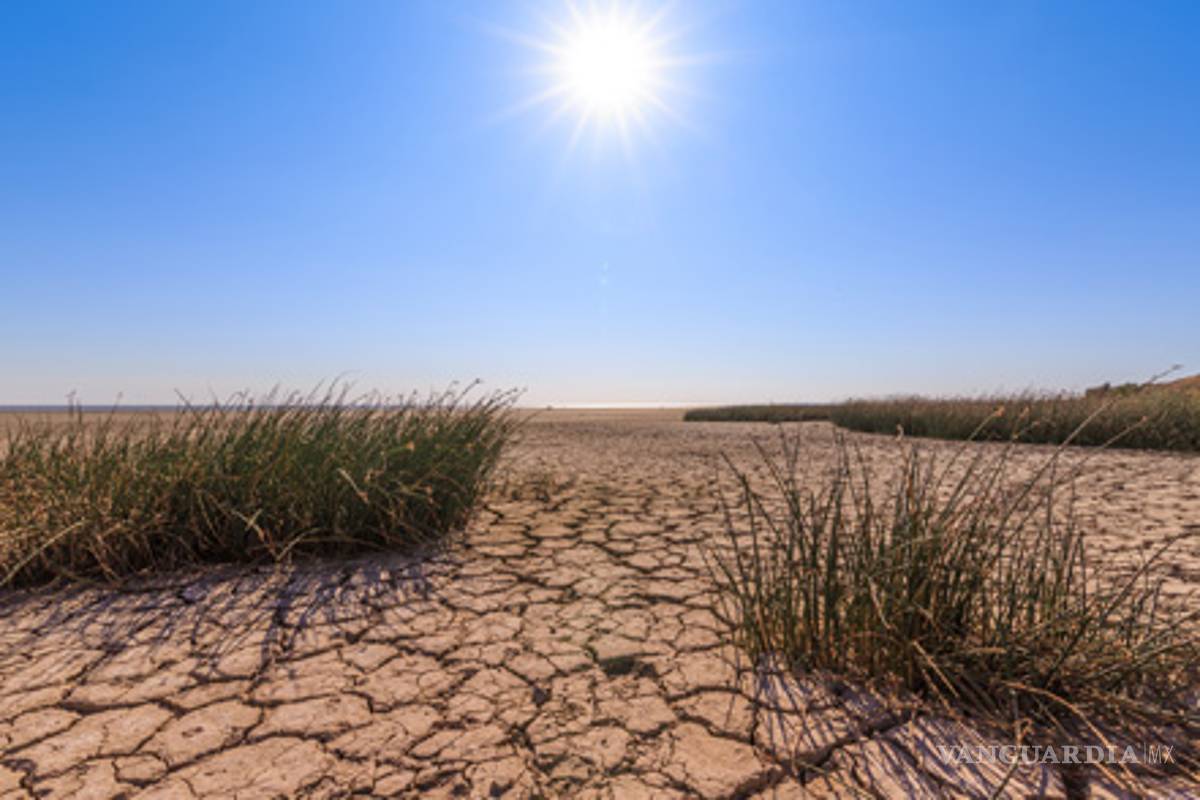 Sequías, huracanes, incendios y olas de calor; 2019 cerrará con temperaturas récord
