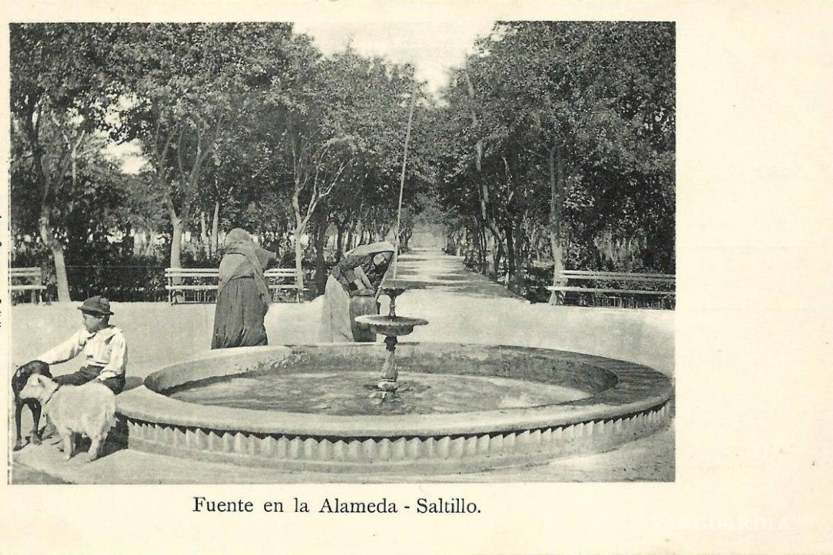 Una mirada extranjera de Saltillo a través de viejas tarjetas postales