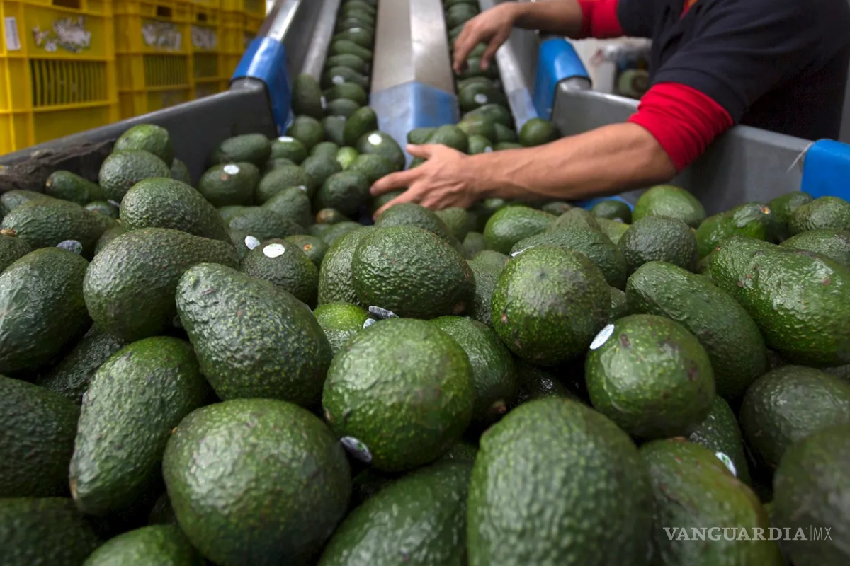 Exportaciones agroalimentarias de México imponen récord en 2023, alcanzan 51,874 millones de dólares