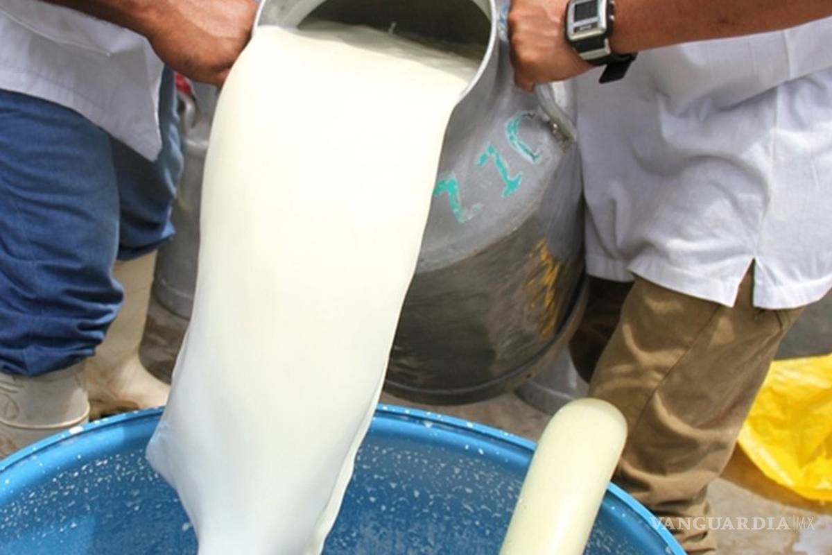 Baja hasta en 1 millón de litros la producción diaria de leche en La Laguna