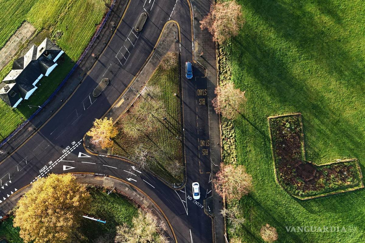 ‘Tiny Forests’, bosques urbanos que buscan ser una solución verde para oxigenar las grandes ciudades
