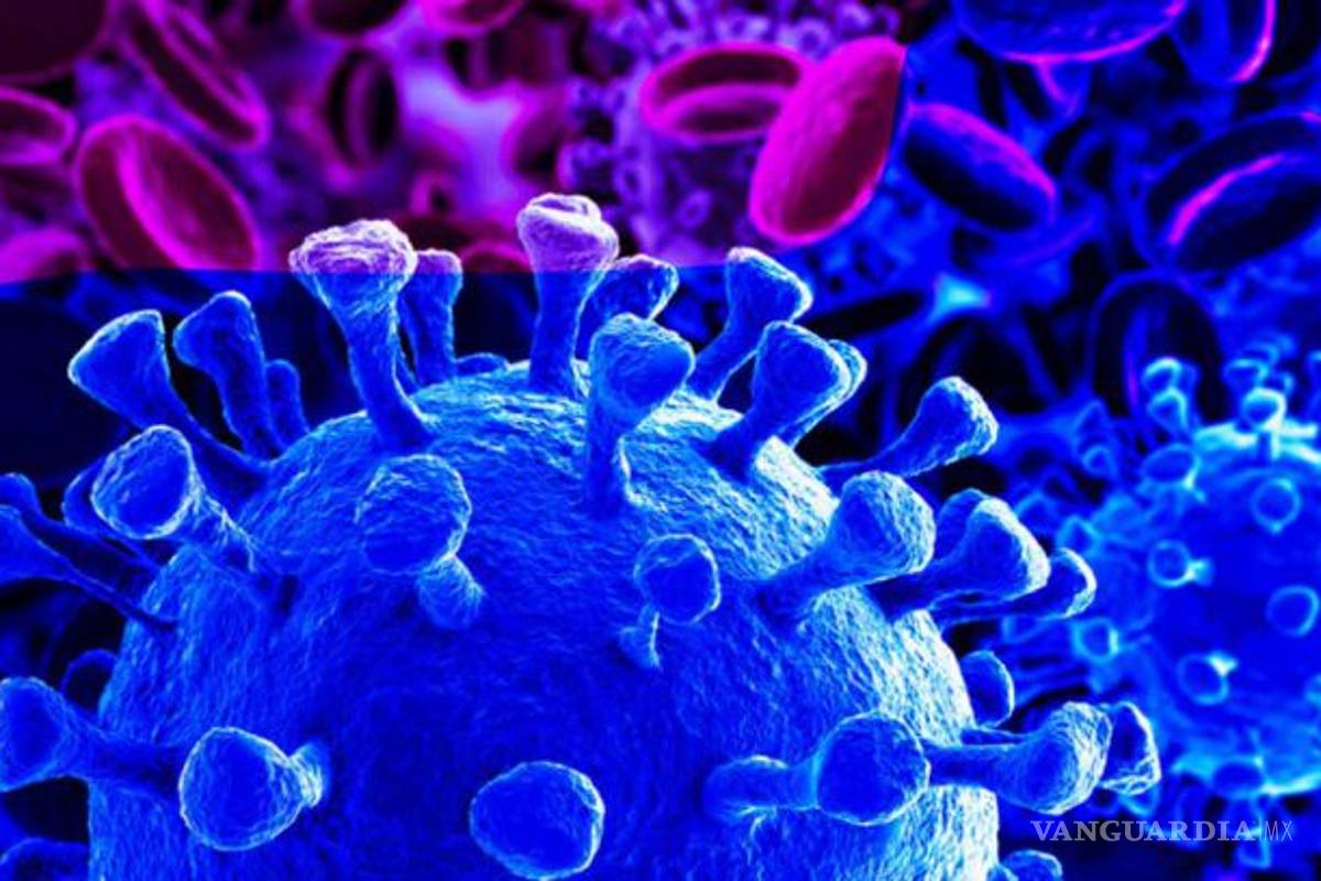 ¿Cómo destruye al cuerpo el COVID-19? Sistema inmunológico al ataque