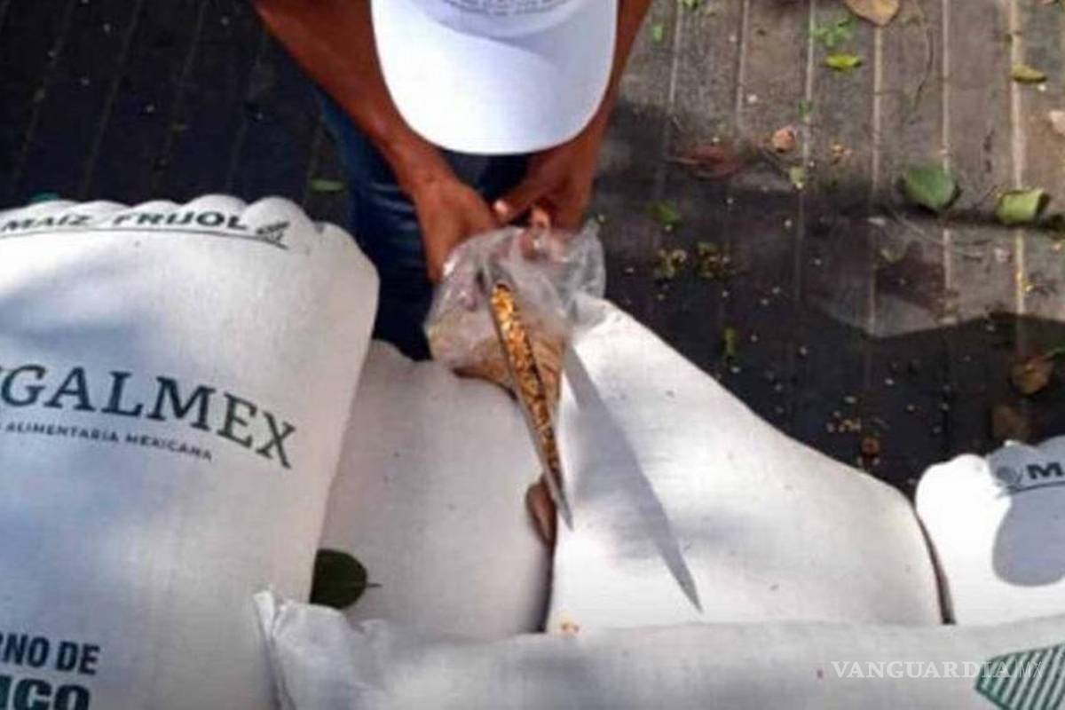 Desvíos en Segalmex equivalen a 6 aviones presidenciales