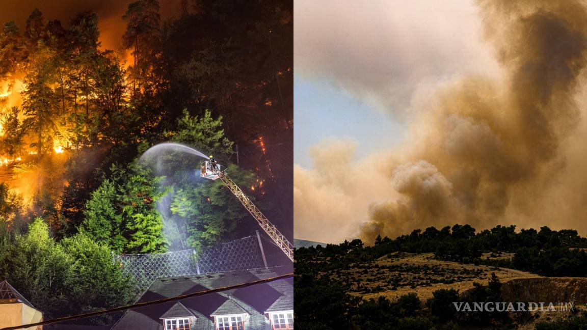 Incendio forestal devora mil hectáreas en República Checa y en Grecia más de 3 mil