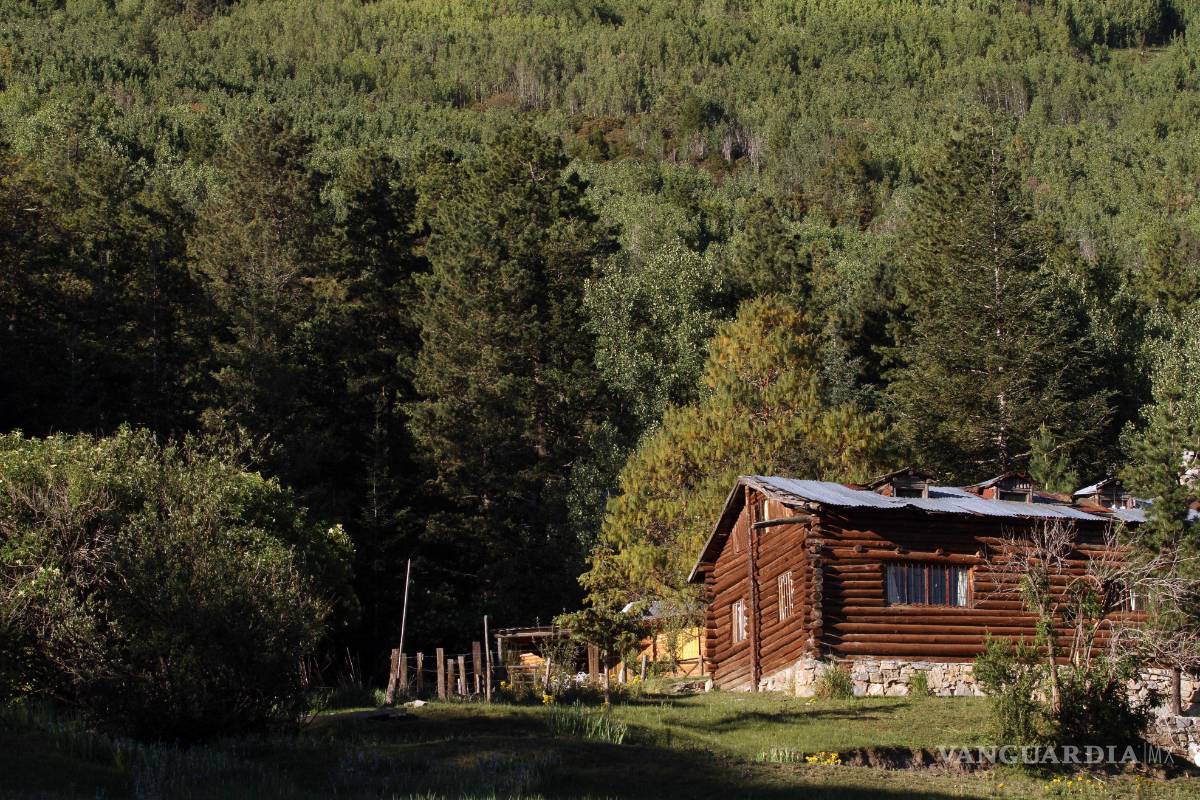 Vigilarán las 24 horas para evitar incendios forestales