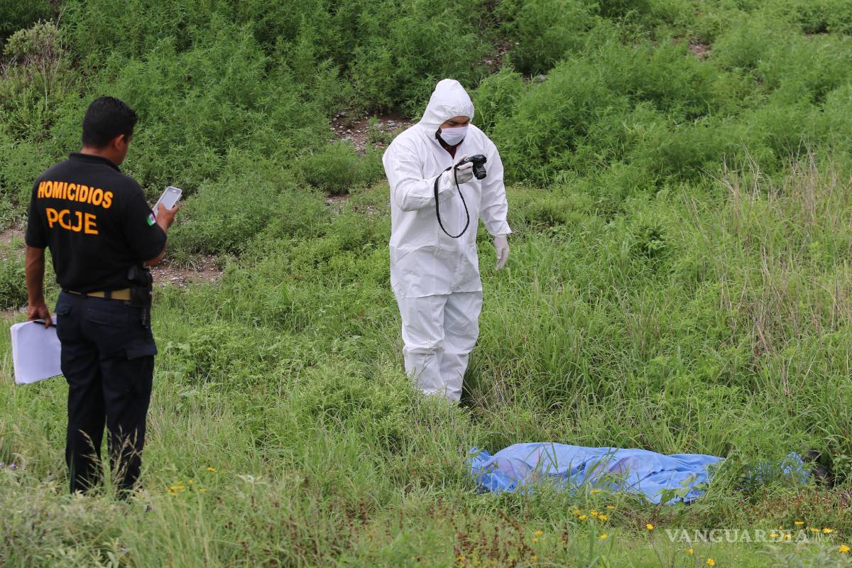 Fallece arrollado en carretera a Zacatecas