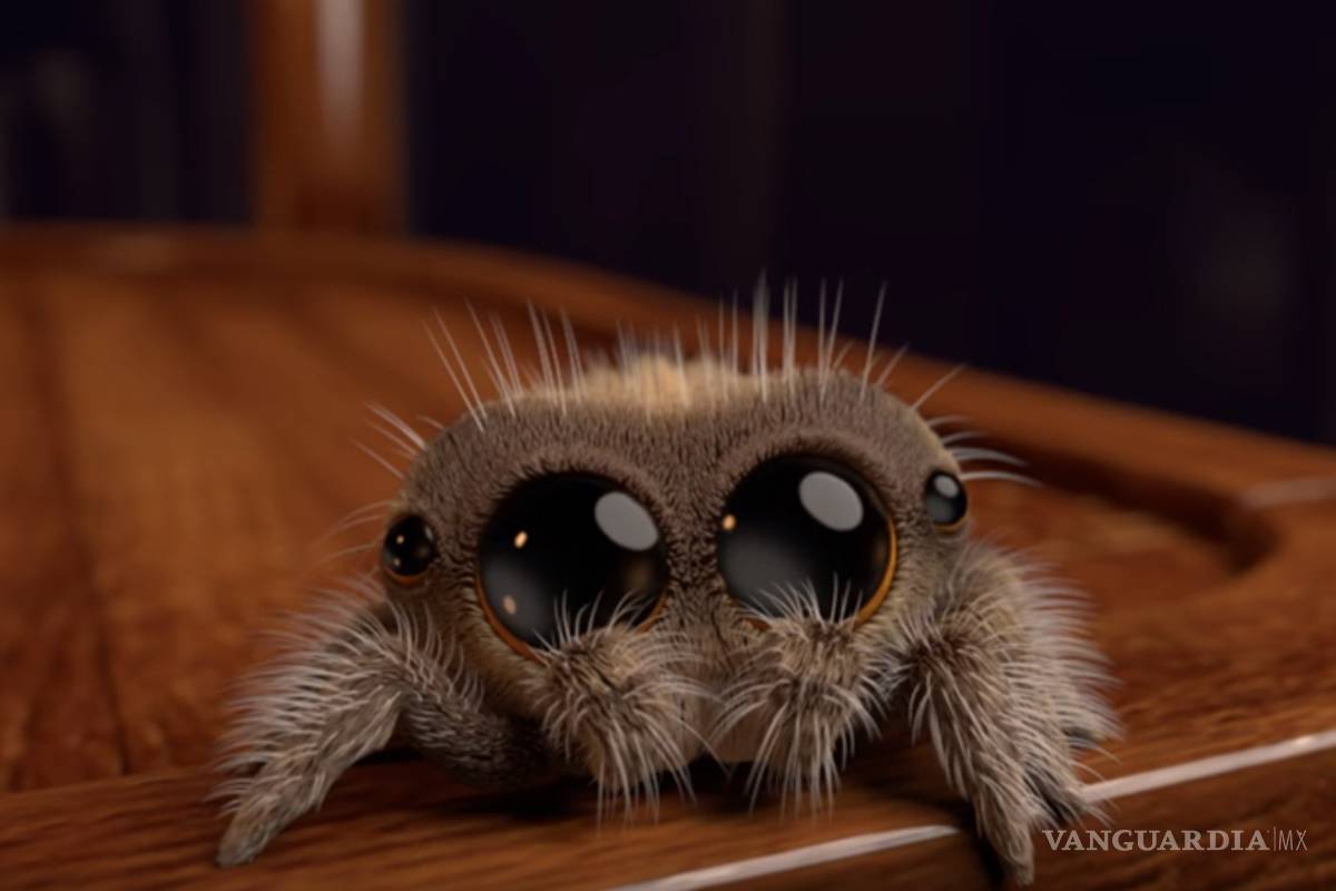 ¿Aracnofobia? Con esta adorable arañita la olvidarás