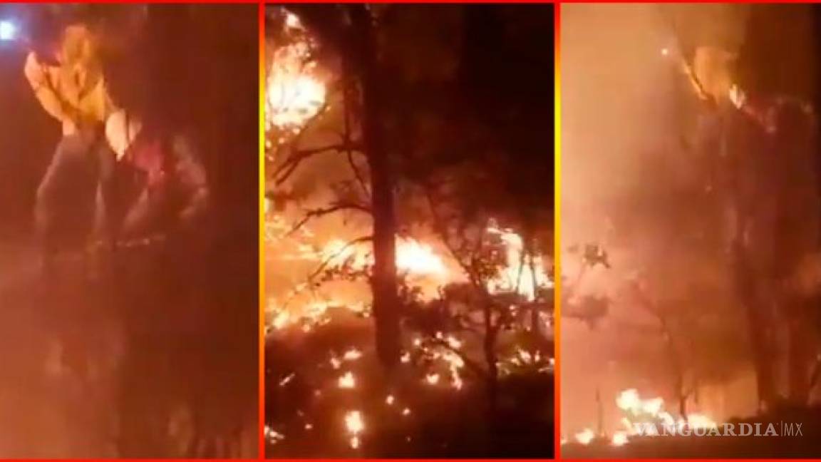 Incendio ha destruido más de 2 mil hectáreas en Chihuahua