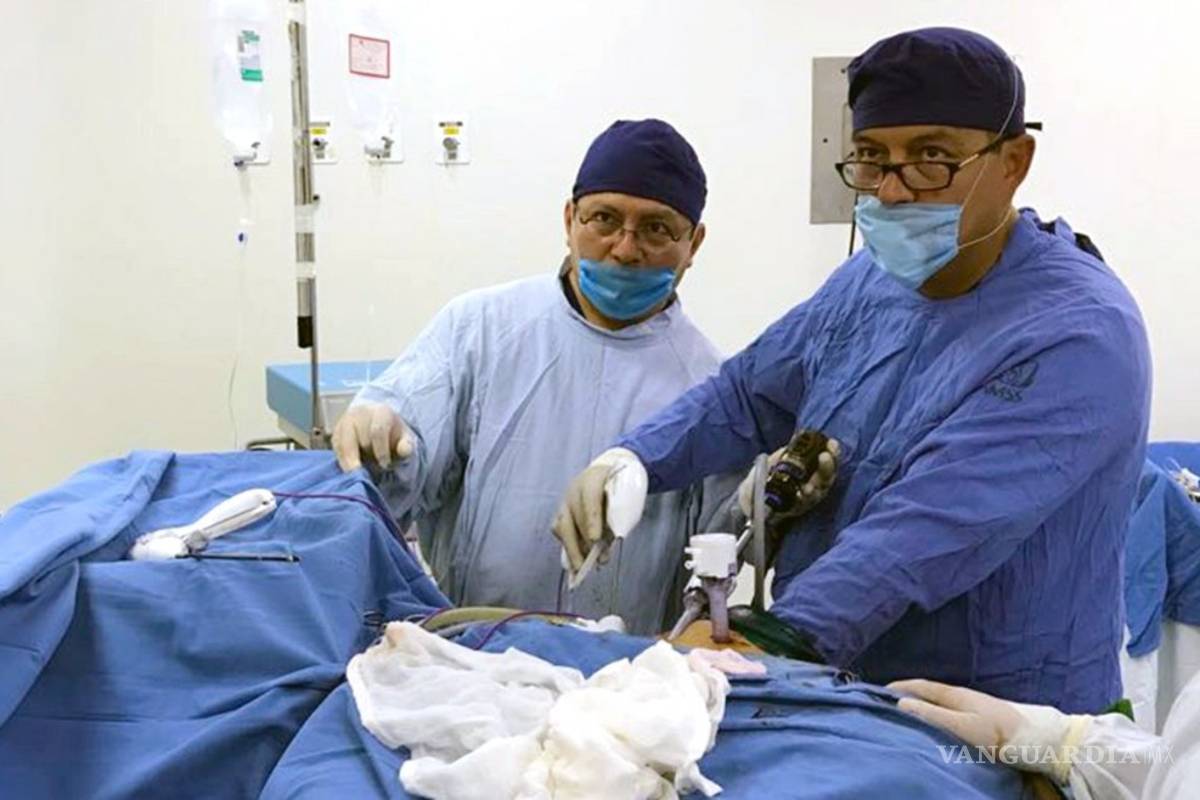 Trasplantan con éxito riñón de una madre de 62 años a su hijo