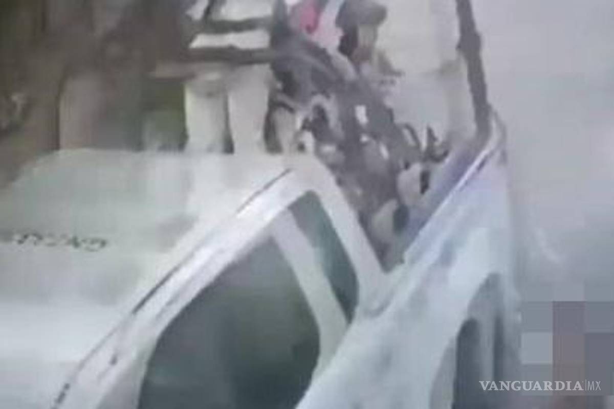 Elementos de la Guardia Nacional atropellan a perros en Acapulco (video)