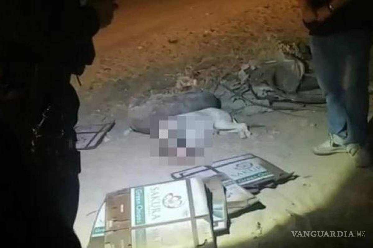 Perro murió después de que menores le arrojaron pirotecnia en el hocico, en Sonora