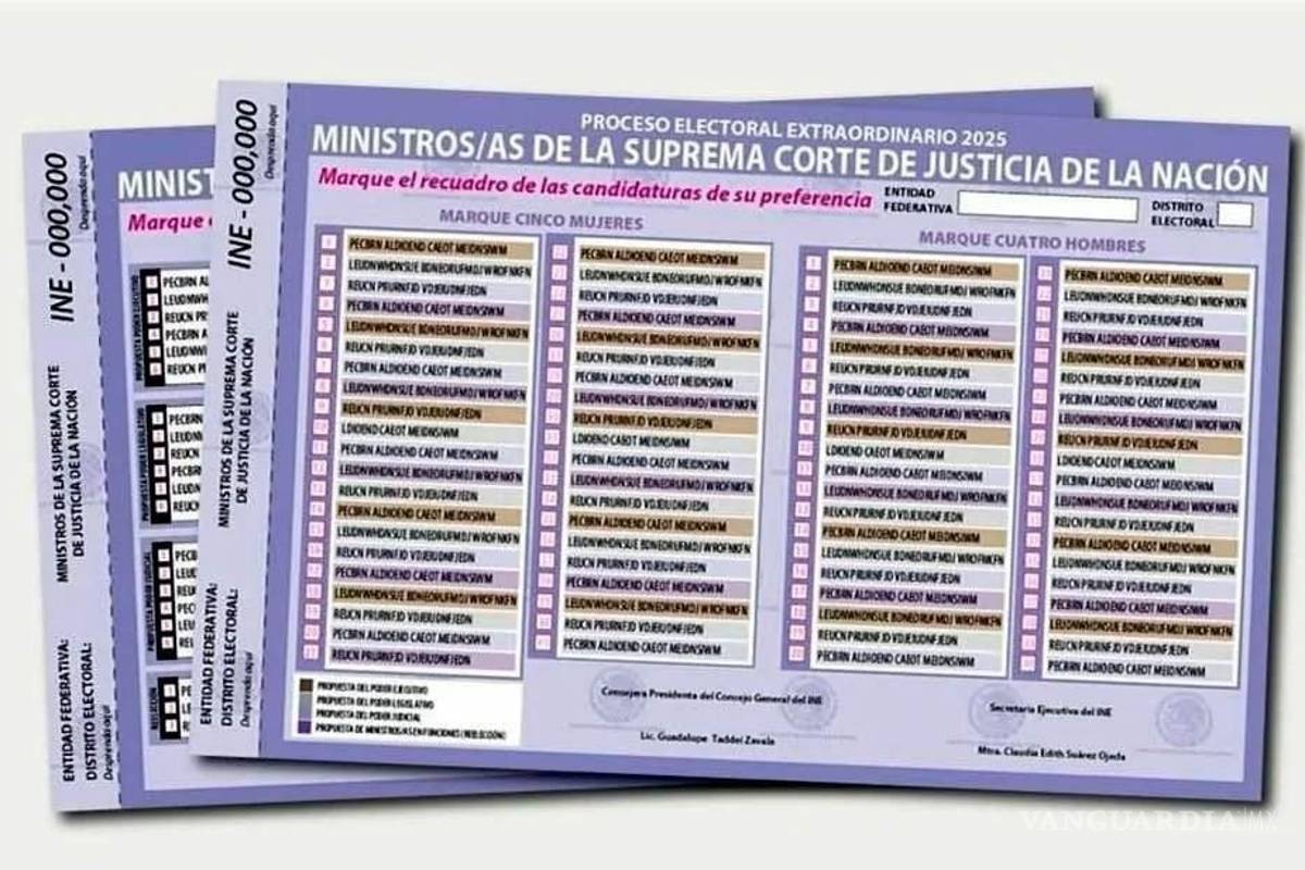 Anticipan desinterés de los ciudadanos en elección judicial