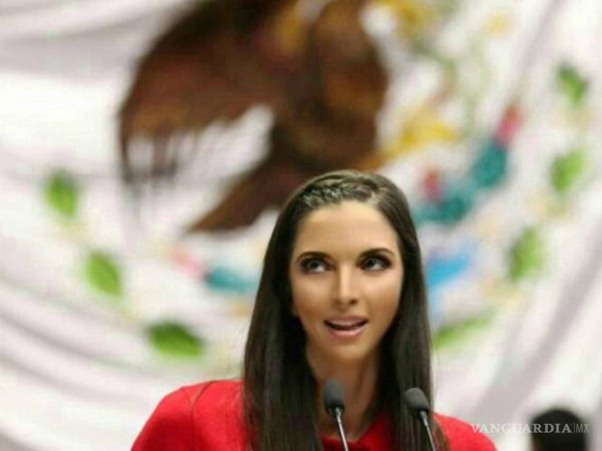 $!La diputada del Partido del Trabajo (PT), Ana Laura Bernal, presentó la iniciativa