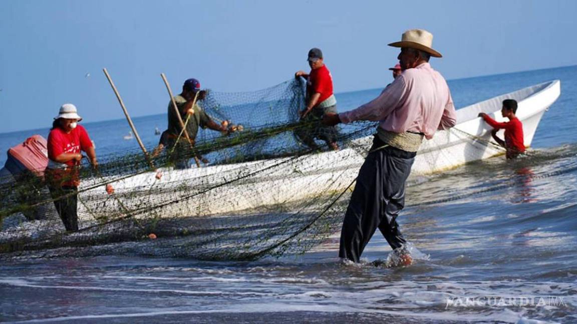 Pescadores de Sonora atraviesan crisis tras veda