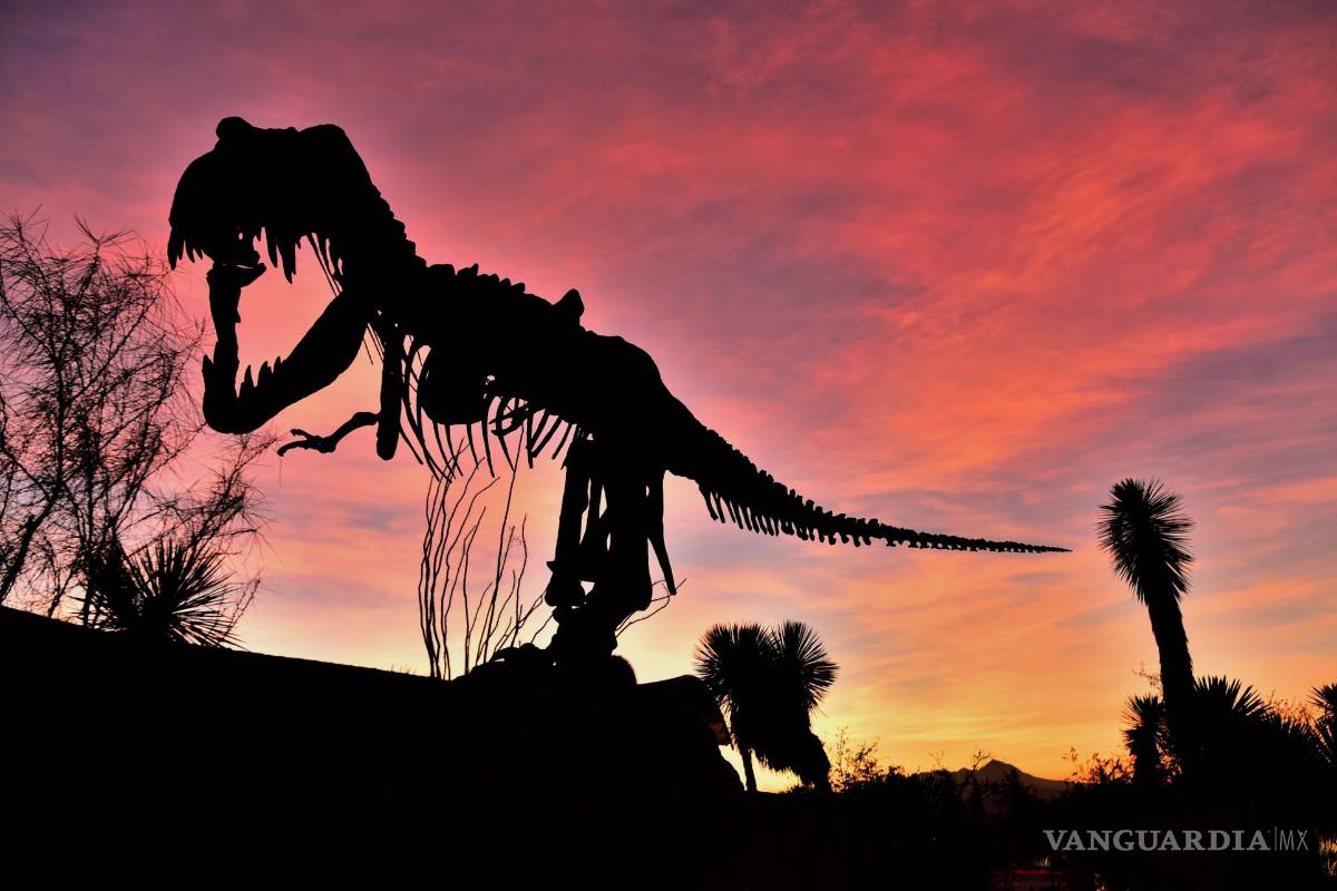 ¿No vas a viajar? El Museo del Desierto de Saltillo te espera