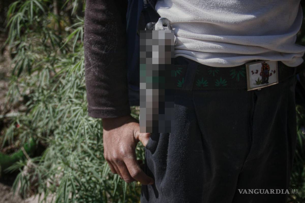 Jóvenes, entre la violencia y la ausencia de humanismo