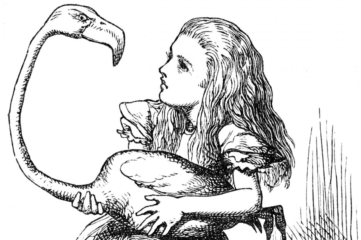 A través del espejo y lo que Carroll encontró allí