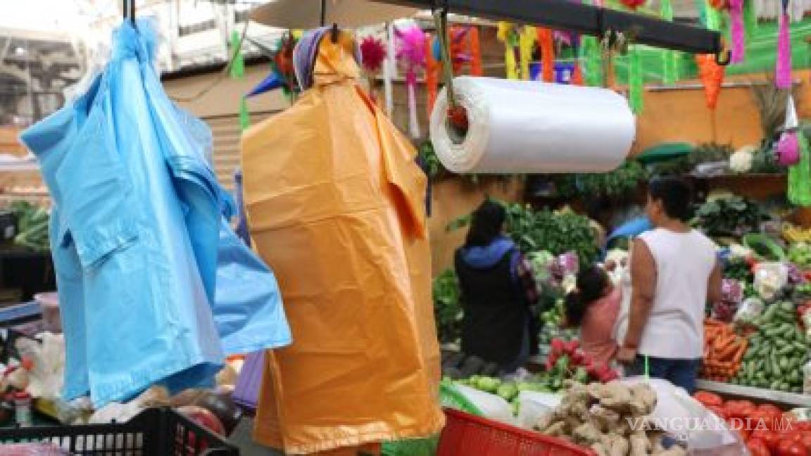 Satanizar al plástico dejaría sin empleo a 150 mil mexicanos, 'hay que reutilizar' afirman expertos, empresarios y políticos