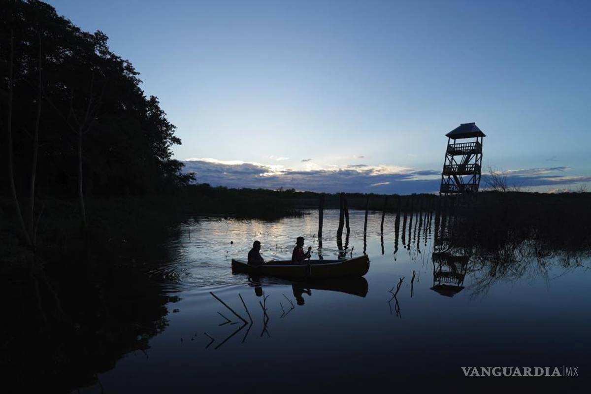 La selva de Calakmul, el nuevo foco rojo del Tren Maya