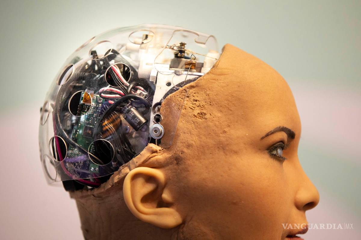 Las perspectivas reales de la IA