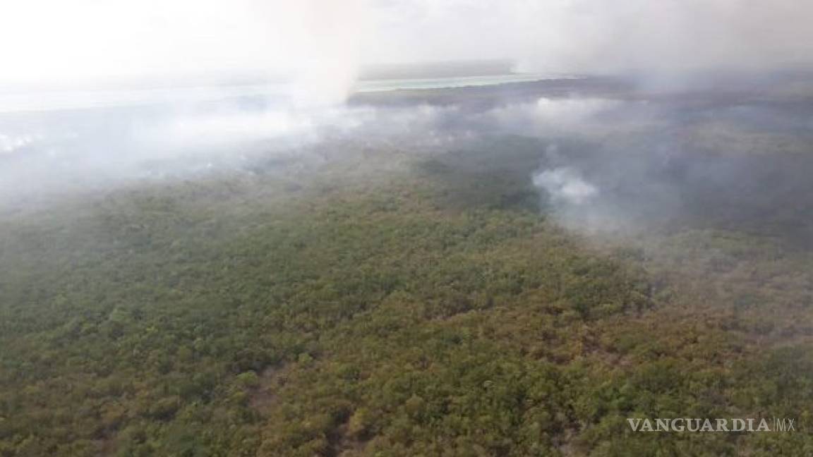 Recortes a Conafor complican control de fuego en Sian Ka’an: Protección Civil de Quintana Roo