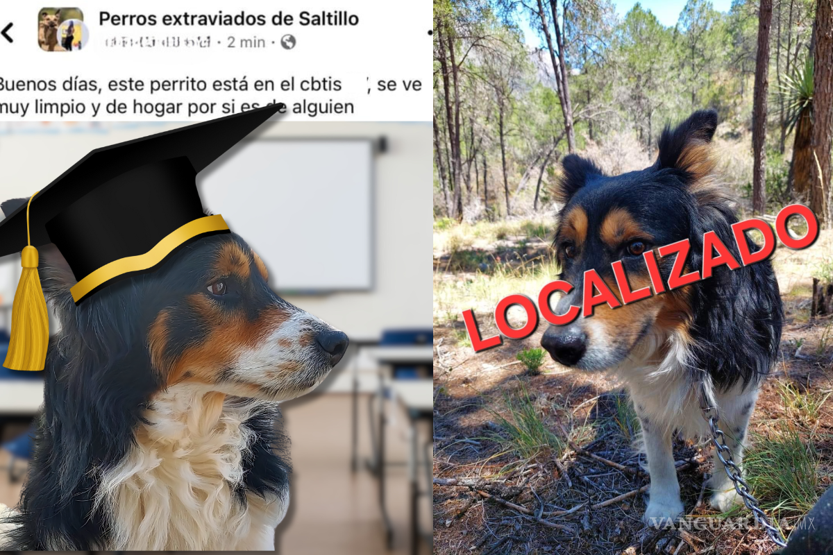 Perrito se escapa para ‘terminar el bachillerato’; alumnos del CBTis lo rescatan y entregan a su familia en Saltillo