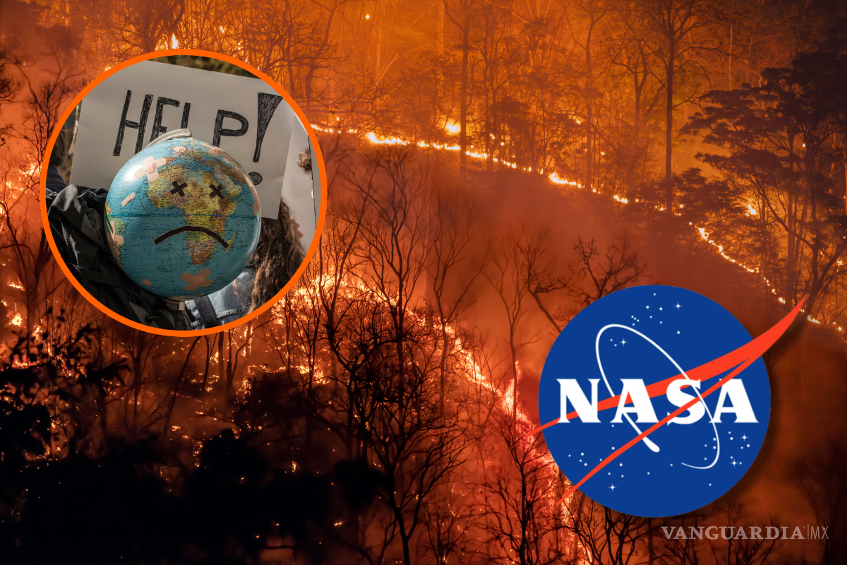 NASA advierte sobre zonas que no podrán ser habitadas en 2050, ¿cuáles son?