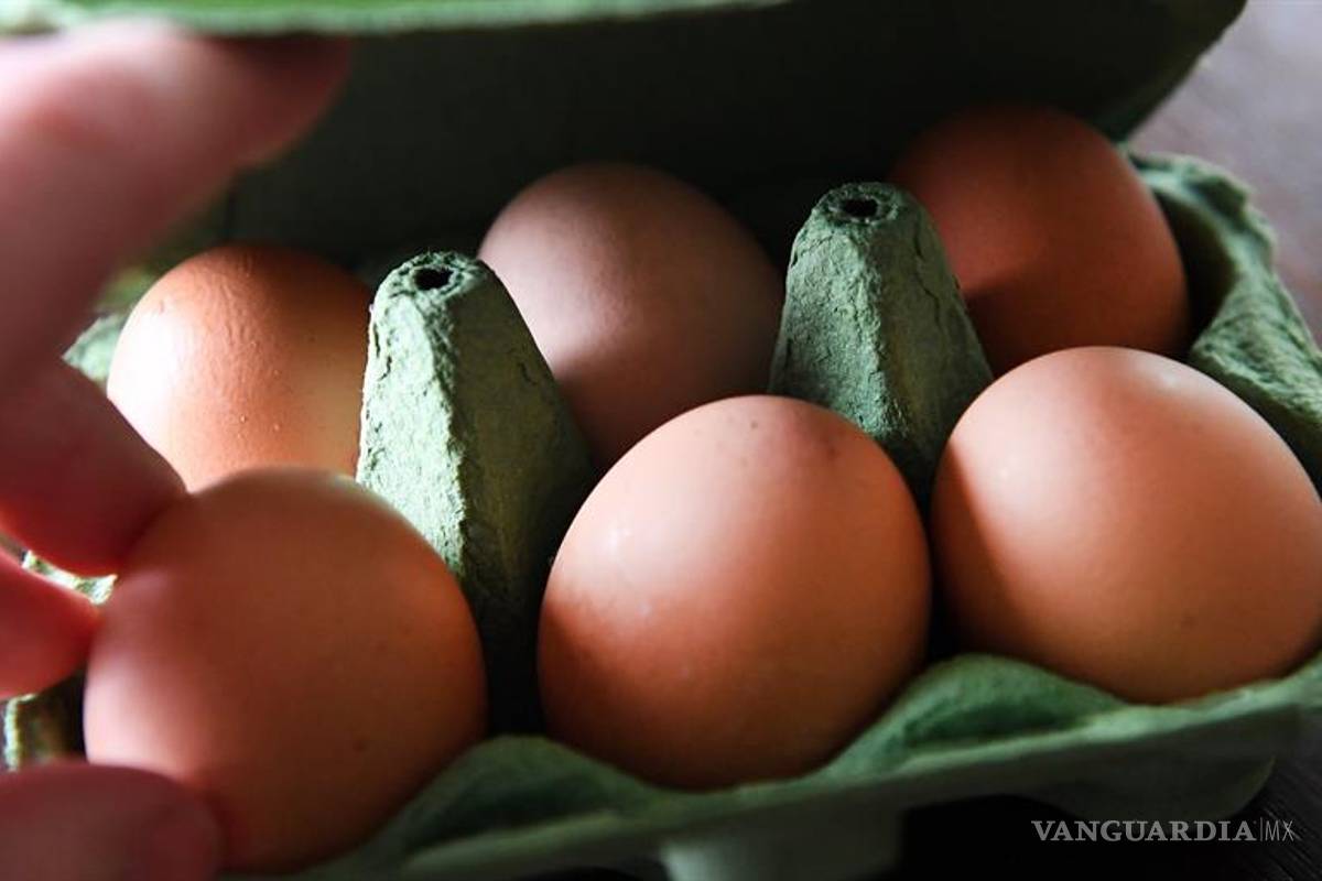 $!Arrestan dos sospechosos en Holanda por caso de huevos contaminados