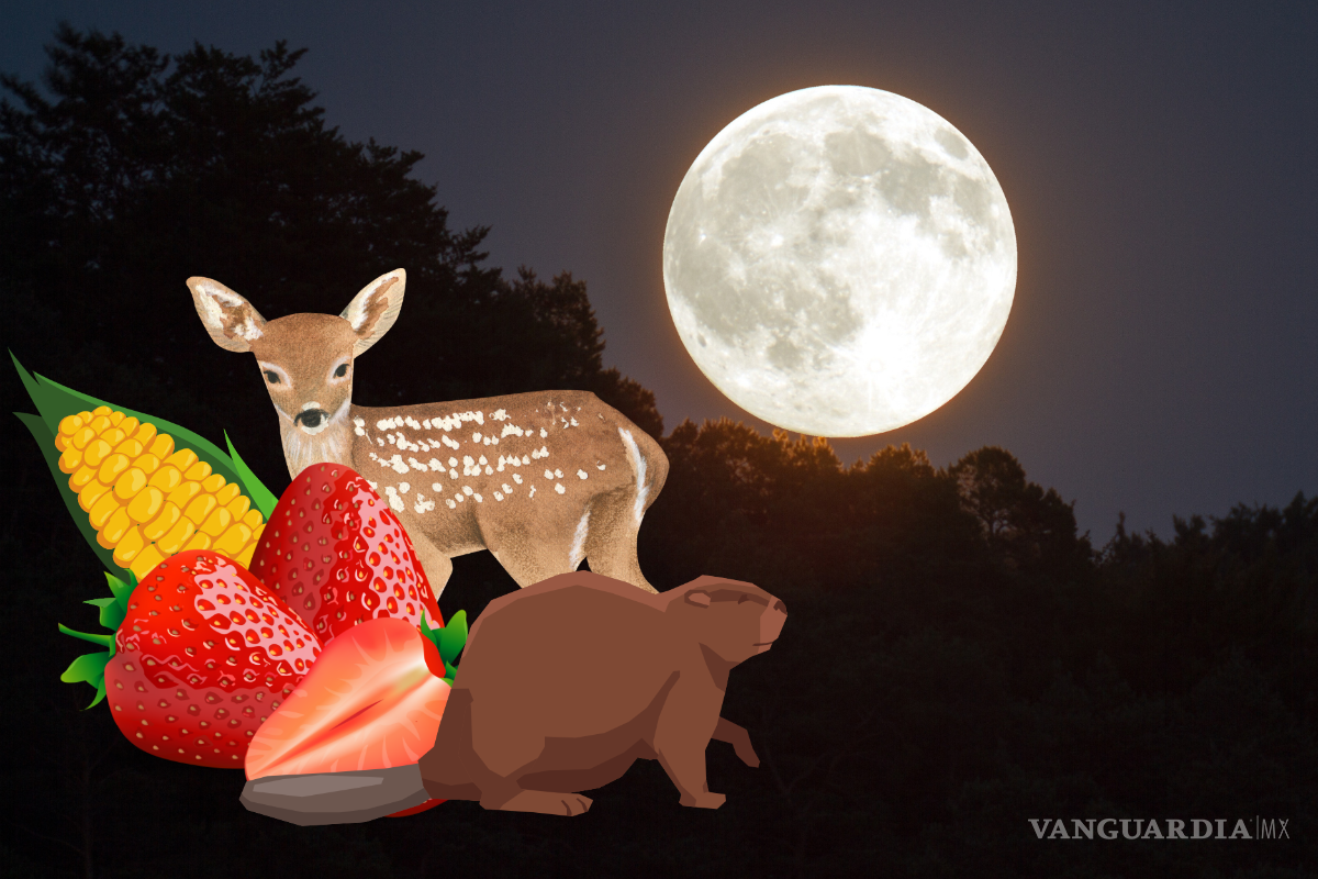 Luna de flor, de fresa, de ciervo...¿Cuándo serán todas las lunas llenas del año?