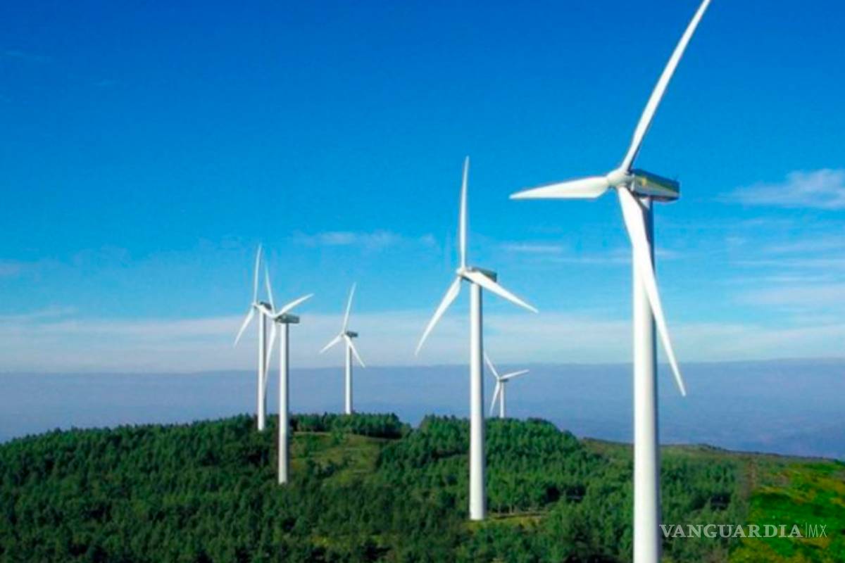 México reducirá energías renovables tras responsabilizarlas de apagón masivo