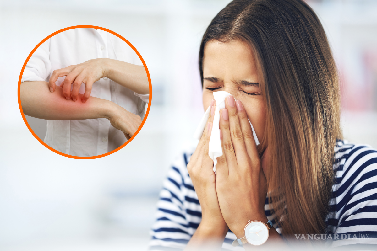 ¿Cuál es la diferencia entre las alergias y la gripe? Causas, síntomas y tratamiento