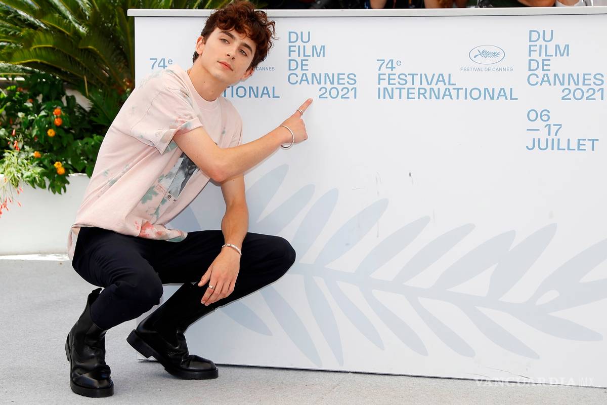 Timothée Chalamet, el chico de oro se consagra