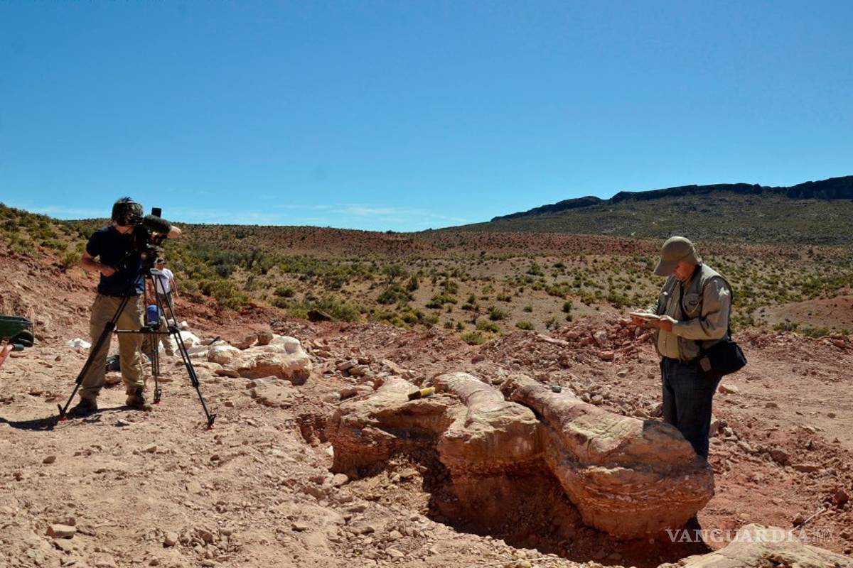 $!Patagotitan mayorum, el dinosaurio más grande del mundo