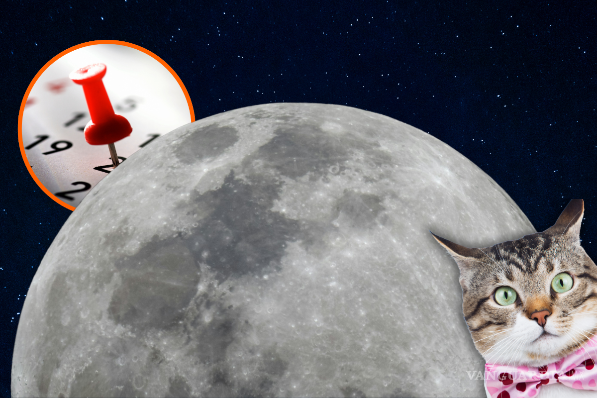 ¿Cuándo es la Superluna de mayo, dónde verla y cuál es la mejor hora para disfrutarla en todo su esplendor?