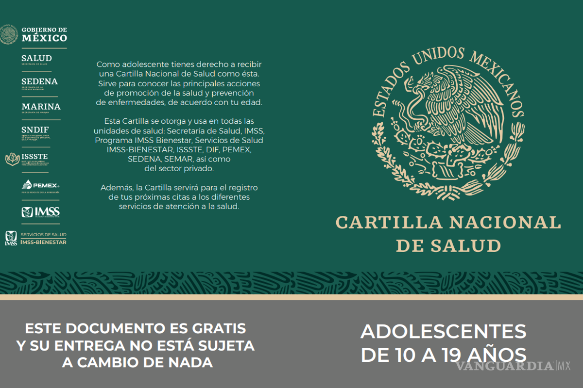 $!Vacunas por edad: cuáles debes tener en cada etapa y dónde descargar la cartilla