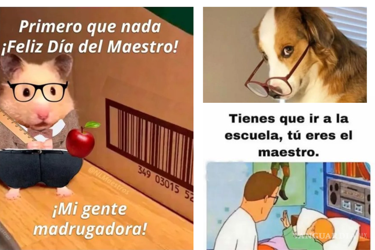 Estos son los mejores MEMES del Día del Maestro para compartir en redes sociales