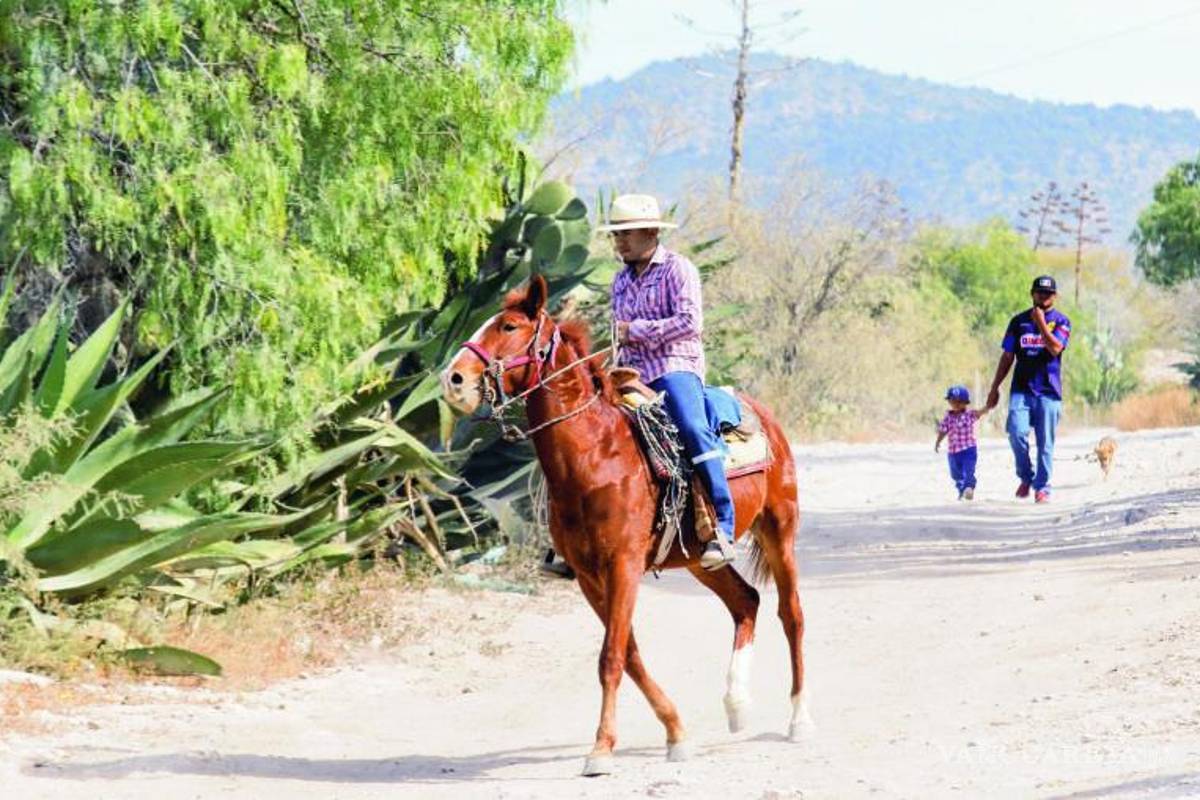 $!Situación afecta a cerca de un centenar de estudiantes; sin chofer de transporte escolar, ni camino en ejido
